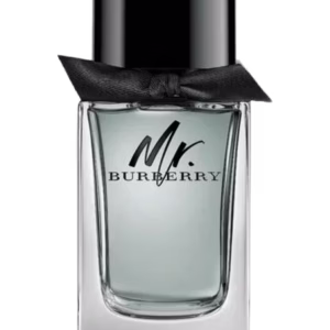 Mr. Burberry